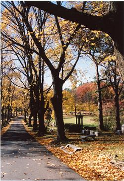 Baber Garden022.jpg
